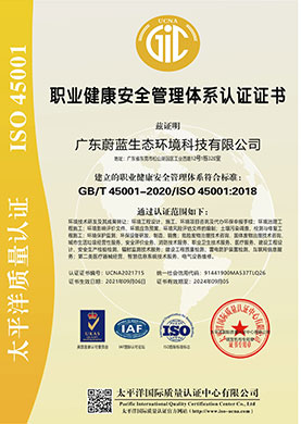 職業(yè)健康安全管理體系...