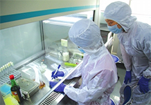 食品安全檢測 食品安全檢測